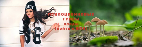 apvp Абинск