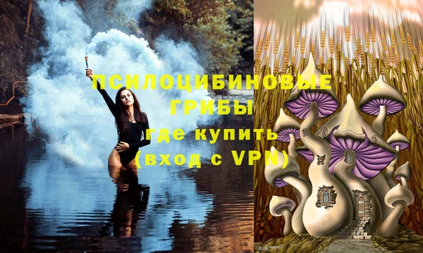 COCAINE Абаза