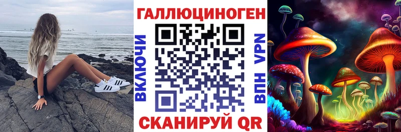 Галлюциногенные грибы Psilocybine cubensis Саранск
